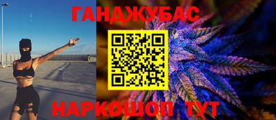 гидра Гагарин
