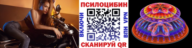 Псилоцибиновые грибы Cubensis  Камень-на-Оби 