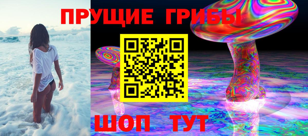 Галлюциногенные грибы мицелий Камень-на-Оби
