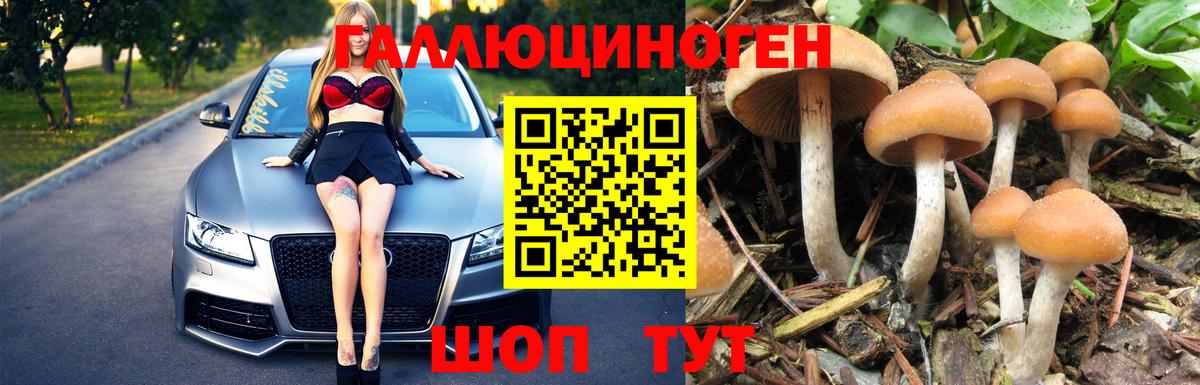 Камень-на-Оби  Галлюциногенные грибы Psilocybine cubensis  Вход с VPN  Псилоцибиновые грибы Magic Shrooms 